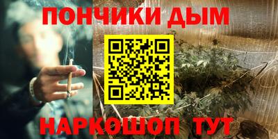 крисы Кинель