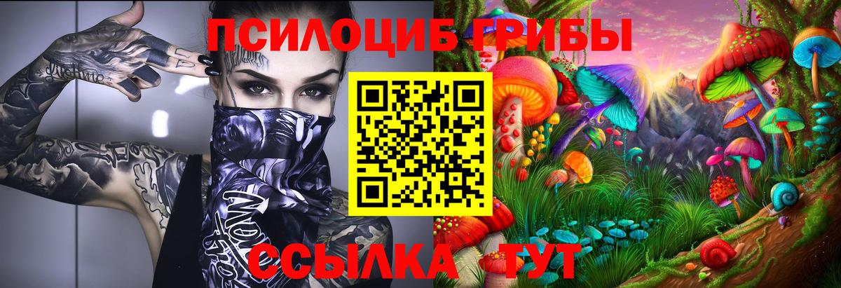 Псилоцибиновые грибы мухоморы Кингисепп