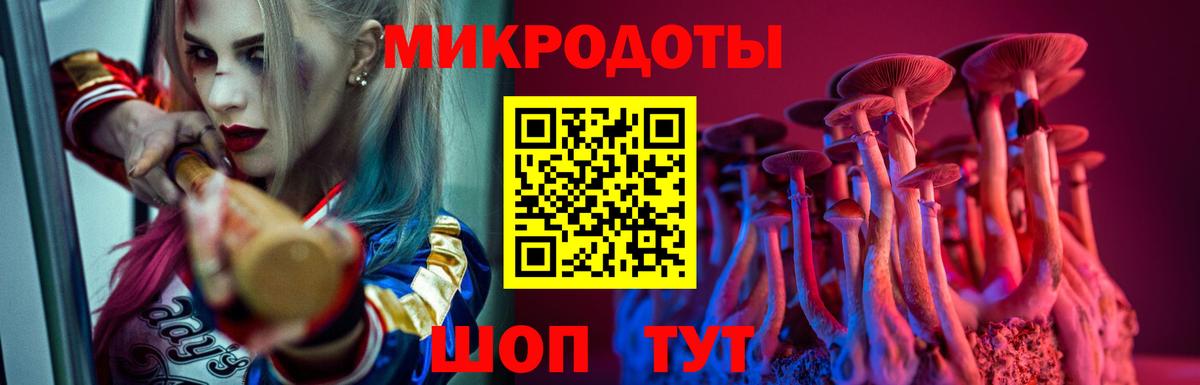 Псилоцибиновые грибы Cubensis  Вход с VPN  Кингисепп 